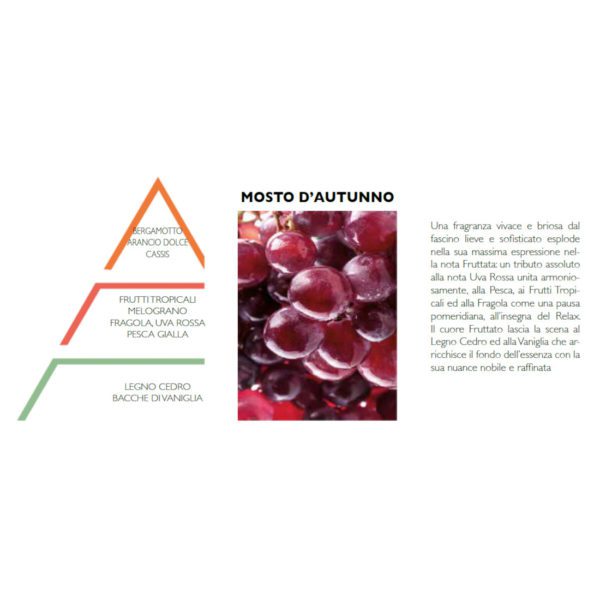 DIFFUSORE A BASTONCINI 100ML MOSTO D'AUTUNNO - HYPNO CASA - Image 3
