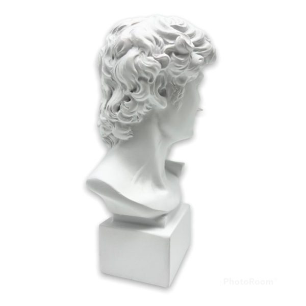 BUSTO DI DAVID CM18 - LAMART - Image 2