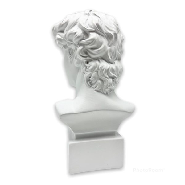 BUSTO DI DAVID CM18 - LAMART - Image 3