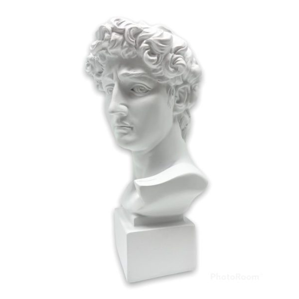 BUSTO DI DAVID CM18 - LAMART - Image 4
