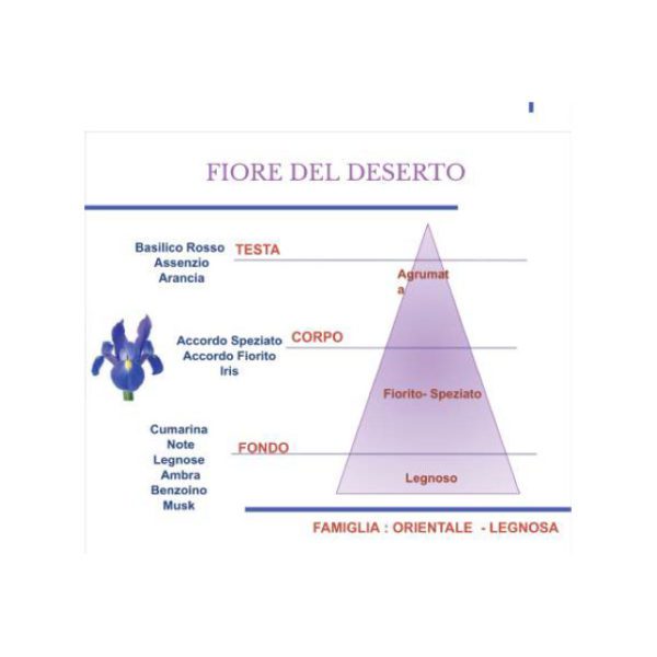 SPRAY PER AMBIENTI 50ML FIORE DEL DESERTO - HYPNO CASA - Image 3