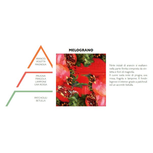SPRAY PER AMBIENTI 50ML MELOGRANO - HYPNO CASA - Image 3