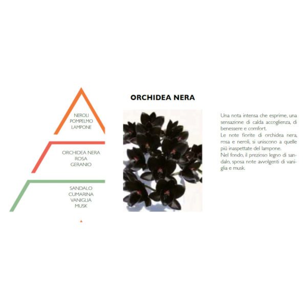 SPRAY PER AMBIENTI 50ML ORCHIDEA NERA - HYPNO CASA - Image 3