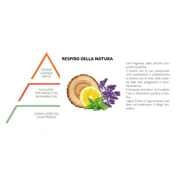 DIFFUSORE A BASTONCINI 250ML  RESPIRO DELLA NATURA - HYPNO CASA - Image 2