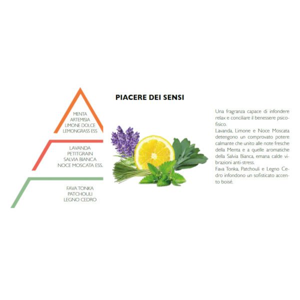 RICARICA PER LAMPADE CATALITICHE 500ML PIACERE DEI SENSI - HYPNO CASA - Image 2