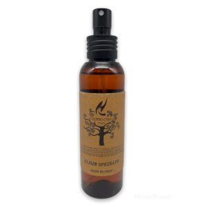 SPRAY PER AMBIENTI 100ML ELISIR SPEZIATO - HYPNO CASA