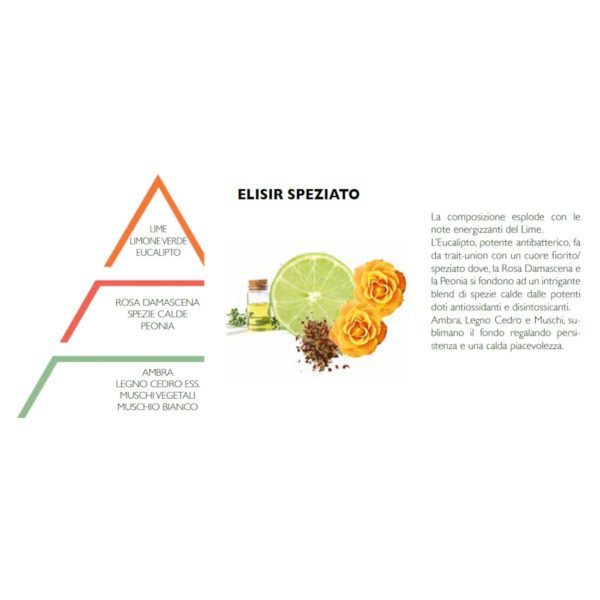 ESSENZA IDROSOLUBILE 10 ML - ELISIR SPEZIATO - HYPNO CASA - Image 2