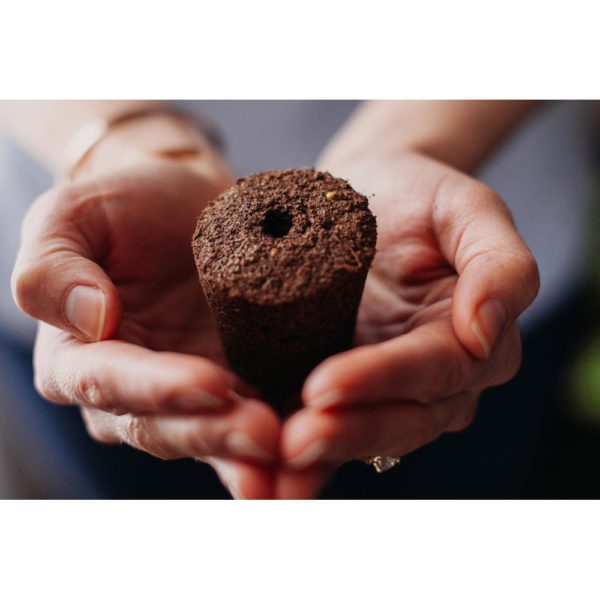 CLICK & GROW - GIARDINO IDROPONICO SMART GARDEN 9 BIANCO - Image 7