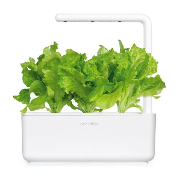 CLICK & GROW - SET 3 CIALDE LATTUGA VERDE - Image 4