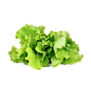 CLICK & GROW - SET 3 CIALDE RUCOLA