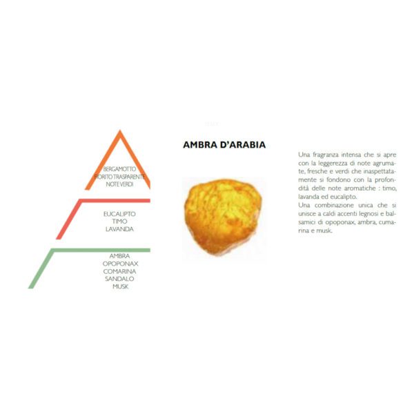 ESSENZA IDROSOLUBILE 10 ML - AMBRA D'ARABIA - HYPNO CASA - Image 2