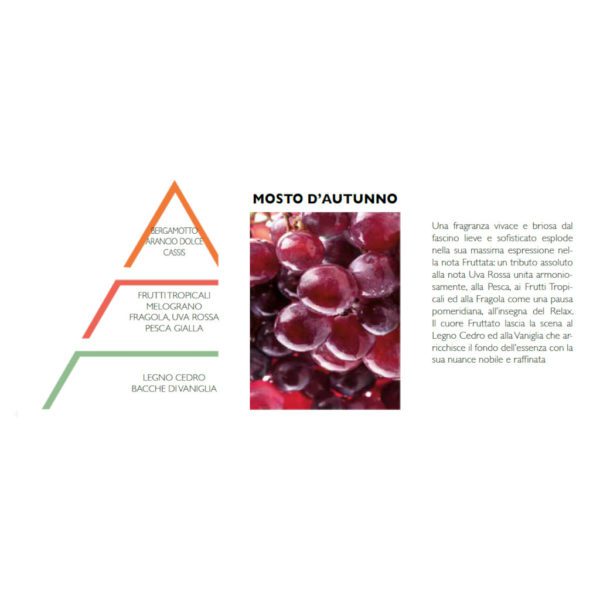 ESSENZA IDROSOLUBILE 10 ML - MOSTO D'AUTUNNO - HYPNO CASA - Image 2