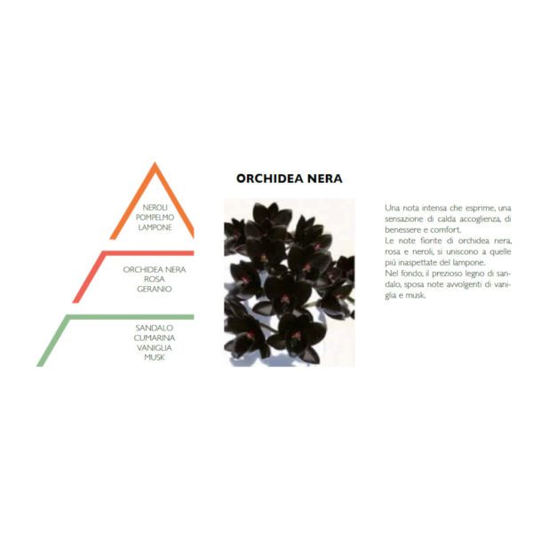ESSENZA IDROSOLUBILE 10 ML - ORCHIDEA NERA - HYPNO CASA - Image 2