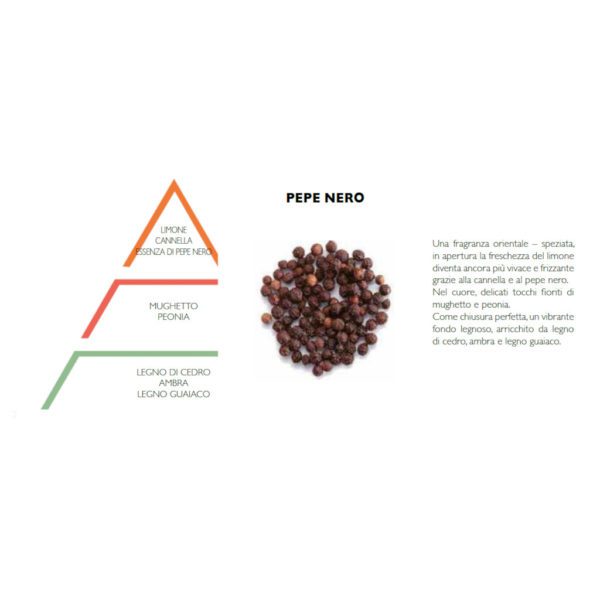 ESSENZA IDROSOLUBILE 10 ML - PEPE NERO - HYPNO CASA - Image 2