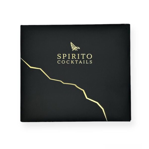 SPIRITO COCKTAILS SET - BOX QUADRATO DA 2 COCKTAILS - NEGRONI