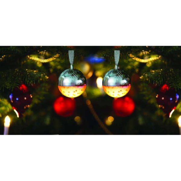 PALLINA DI NATALE SPEAKER ARGENTO CON MUSICA E LUCI - INDIID - Image 2