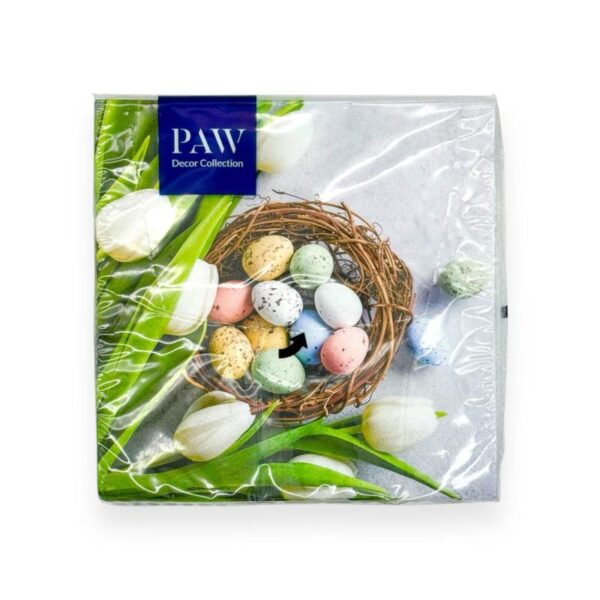 20 TOVAGLIOLI PASQUALI - PAW