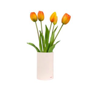 TULIPANI PROFUMA AMBIENTE ARANCIO - TULIP