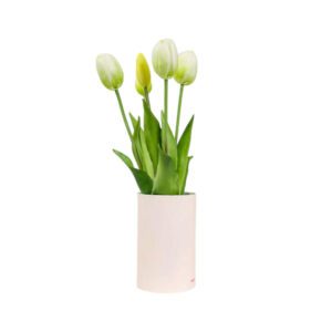 TULIPANI PROFUMA AMBIENTE BIANCHI - TULIP