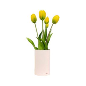 TULIPANI PROFUMA AMBIENTE GIALLI - TULIP