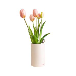 TULIPANI PROFUMA AMBIENTE ROSA - TULIP